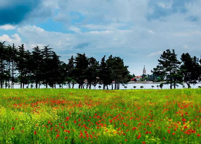 Crikvenica, Vinodol 3 * 茨里克韦尼察